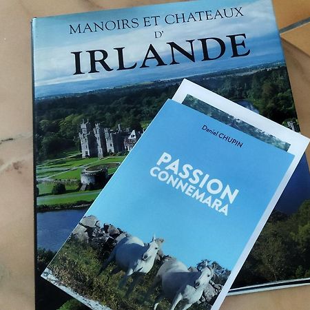 Maison De Campagne Au Coeur D'Un Elevage De Poneys Connemara Le Landreau Ngoại thất bức ảnh
