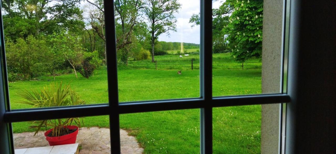 Maison De Campagne Au Coeur D'Un Elevage De Poneys Connemara Le Landreau Ngoại thất bức ảnh